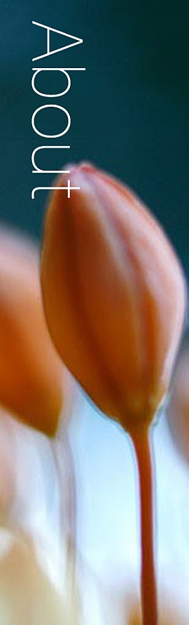 About Catherine Ingram