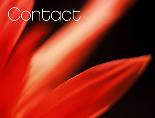 contact