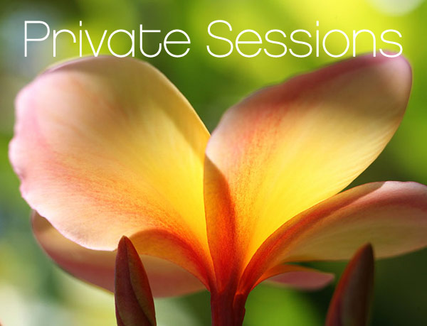 Private Sessions | Catherine Ingram
