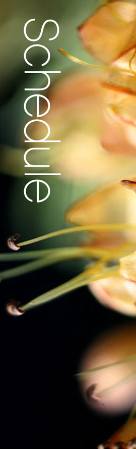 Schedule - Catherine Ingram